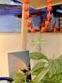 EB5AAB8C-8789-4C65-99A4-2BE589AD6B4D.jpeg